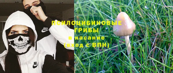 гашик Абинск