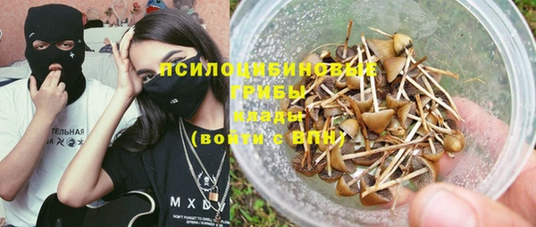 прущая мука Абаза